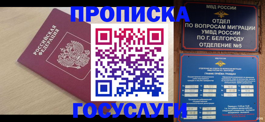 прописка законно в Владимире